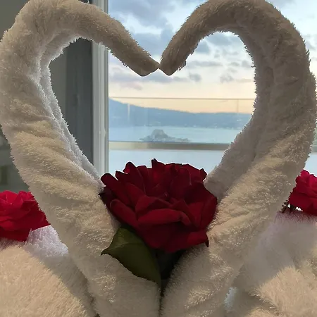 Apartament Cute *